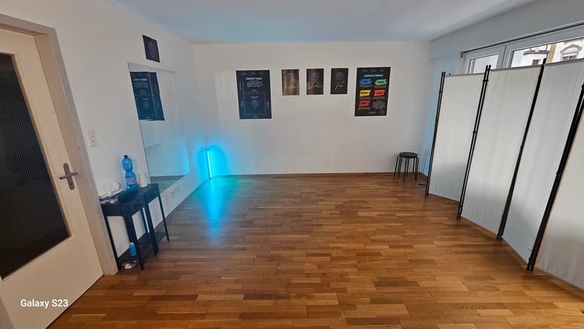 Wildeggstrasse Studio - View 2